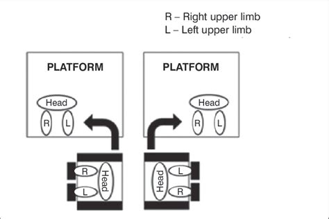bilateral transfer